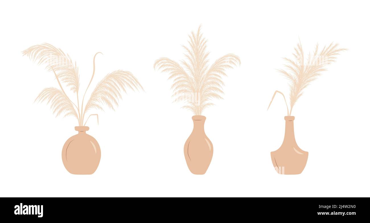 Dry pampas grass in vases. Set of cortaderia arrangements in boho style