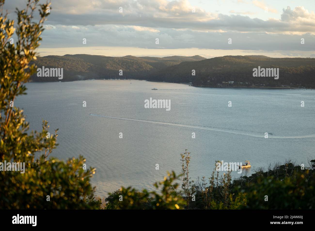 Palm Beach, New South Wales Stock