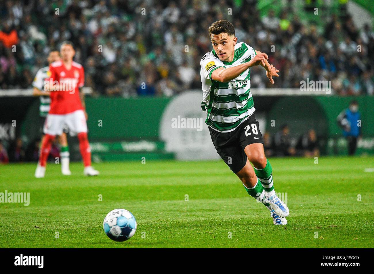 Pedro Goncalves Liga Portugal Game Sporting Vizela Estadio Jose Alvalade –  Stock Editorial Photo © mrogowski_photography #670811184