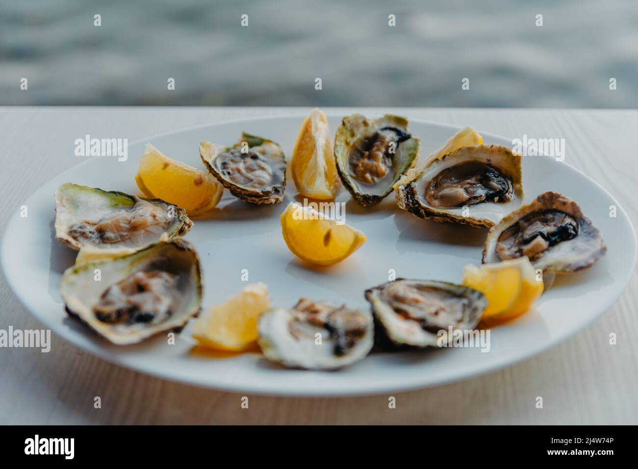 Fresh oysters with lime on a round plate. Oyster season. Macroseafood