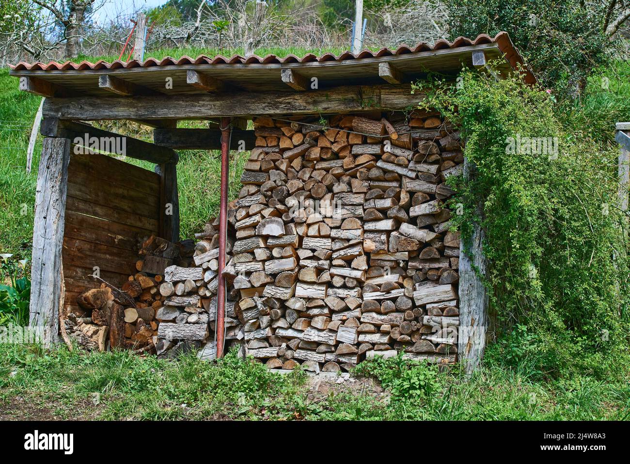 Pile of stacked firewood waiting for winter to make a fire Stock Photo