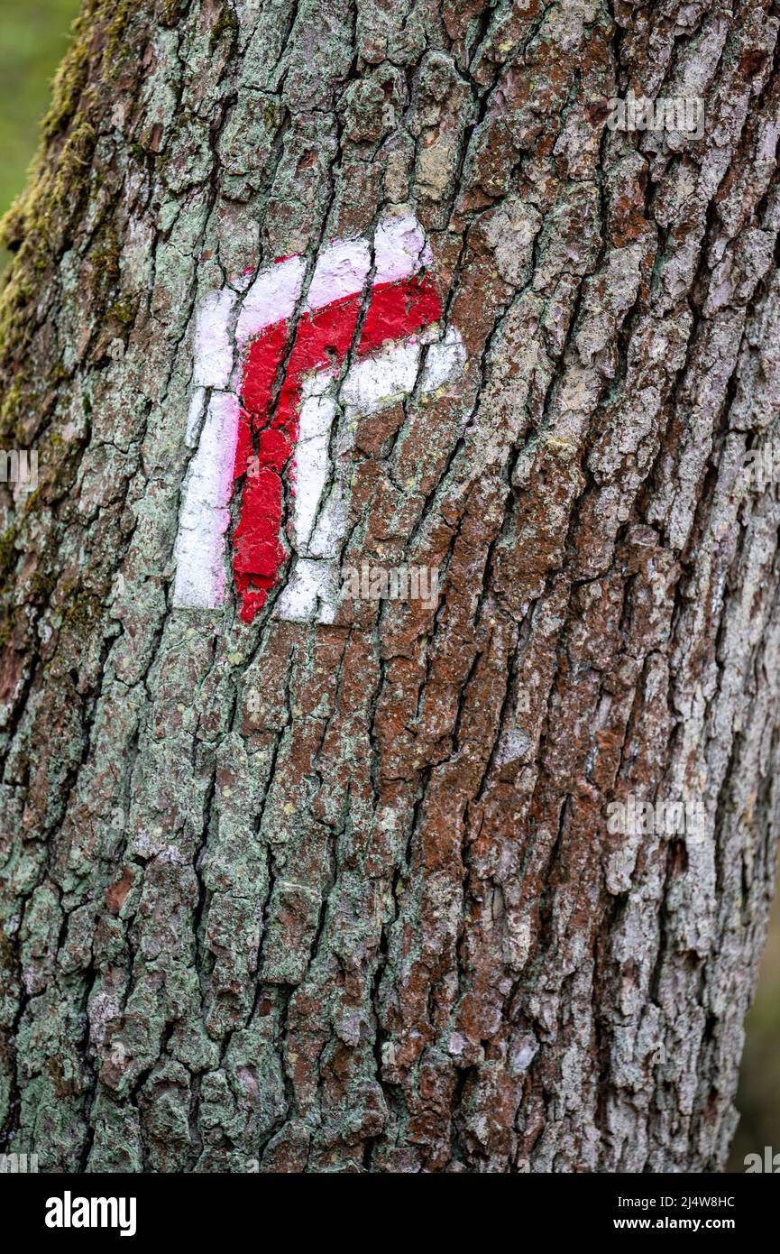 Hiking trail sign on a tree Stock Photo - Alamy
