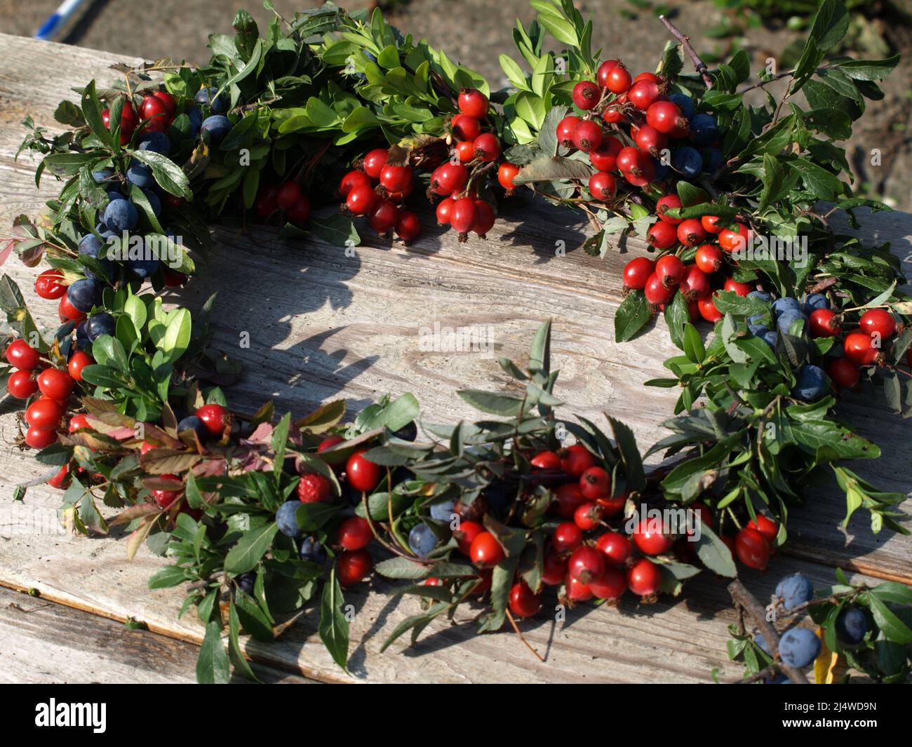 Herbstkranz aus Schlehen und Hagebutten Stock Photo