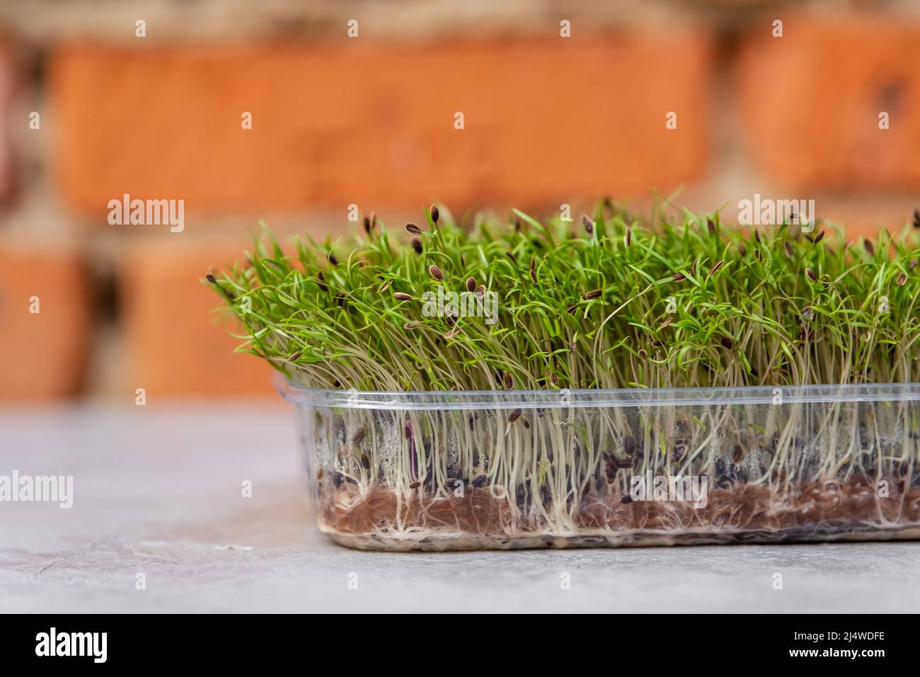 Vegan and healthy eating concept. Seed packaging Stock Photo - Alamy