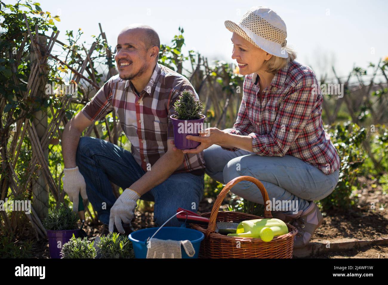 Family work in the garden. Woman and man grow roses Stock Photo