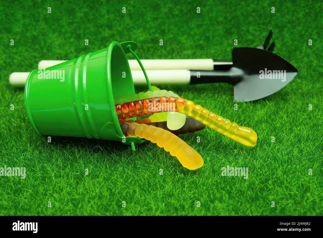 Miniature bucket with gummy worms by a spade and a rake on a green lawn. Adding worms to the garden. Stock Photo