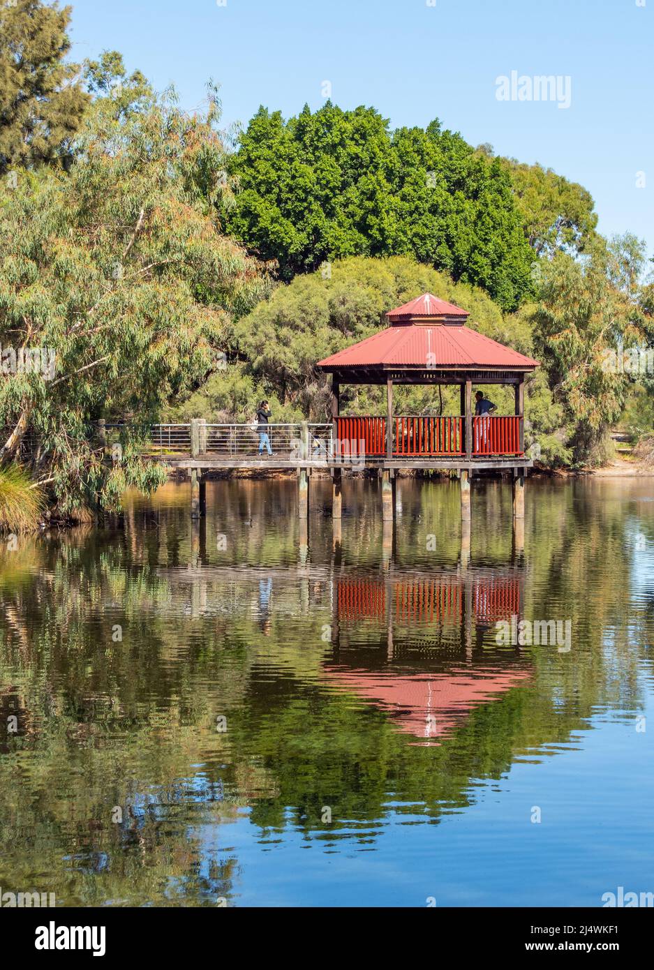 The gazebo and boardwalk at Tomato Lake in Kewdale, Perth, Western Australia. Stock Photo
