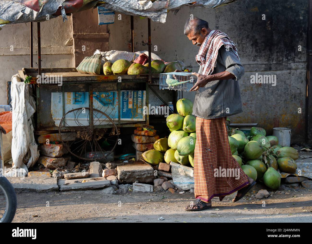 Coconut seller carrying a bird in a cage in Trichy, Tamil Nadu, India Stock Photo