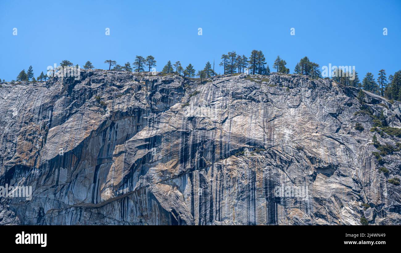 Trees perch high on a ridge, on the Upper Yosemite Falls Trail, in Yosemite National Park, near Merced, California. Stock Photo