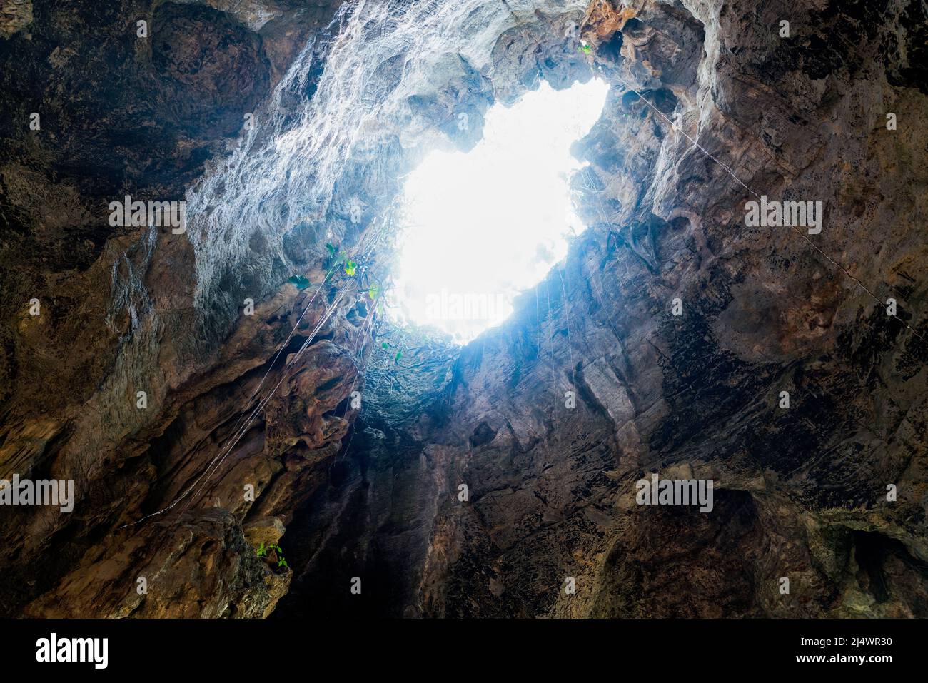 Cave Roof Stock Photo