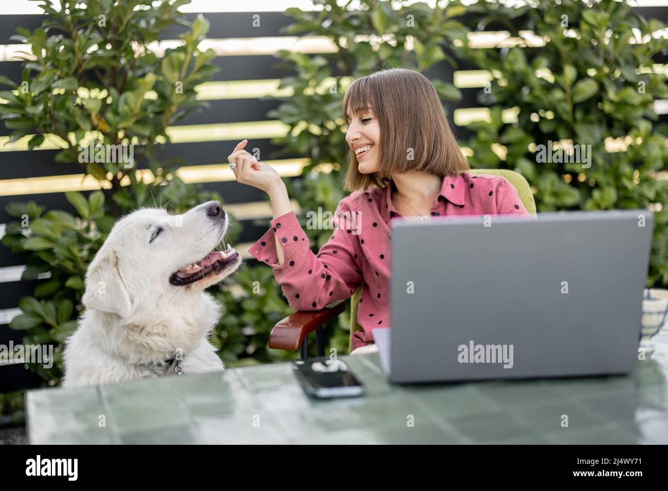Woman feeds her cute adorable dog while working on laptop computer in ...