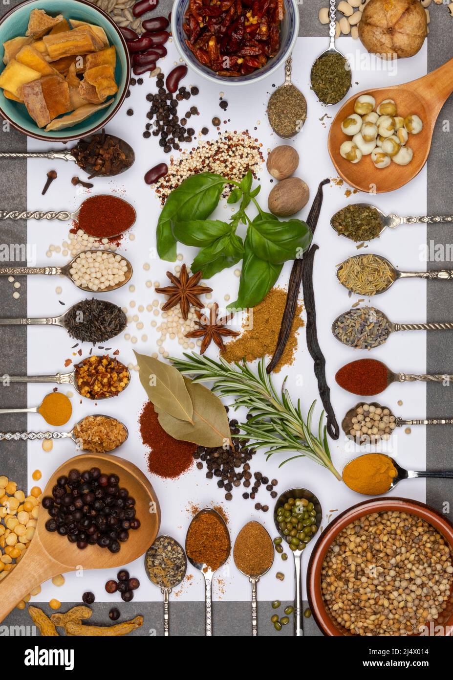 Selection of herbs and cooking spices on spoons. Stock Photo