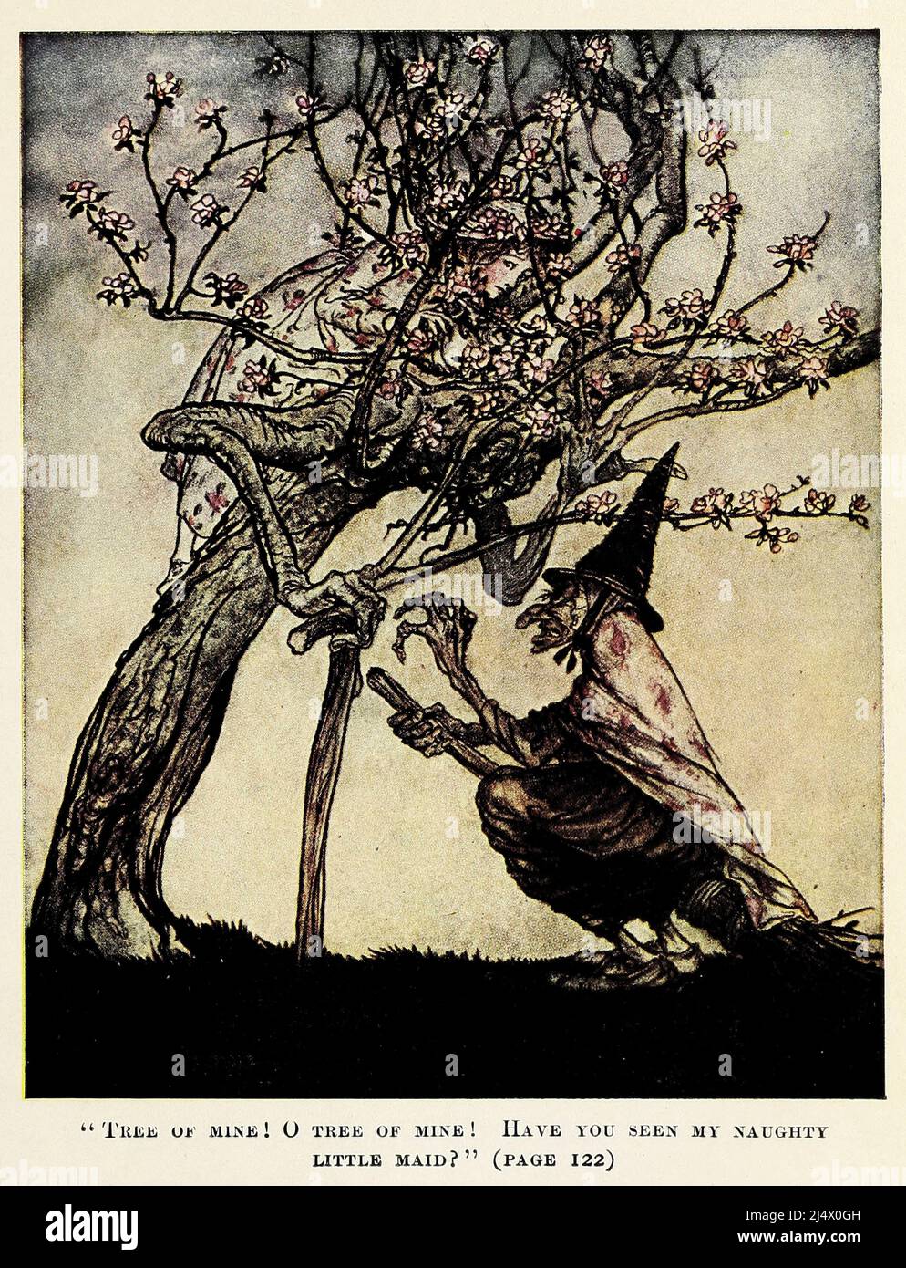 Tree of Mine, Have you seen my Naughty Little Maid? from ' The Two Sisters ' from the book ' English Fairy Tales ' retold by Flora Annie Steel, Webster, illustrated by Arthur Rackham, Publisher New York, The Macmillan company 1918 Stock Photo