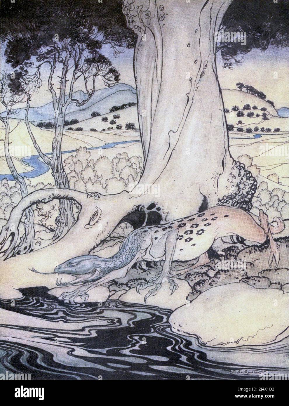The Questing Beast From the Book ' The romance of King Arthur and his knights of the Round Table ' Abridged from Sir Thomas Malory's Morte D'Arhur by Alfred W. Pollard Illustrated by Arthur Rackham Publisher New York : Macmillan 1920 Stock Photo