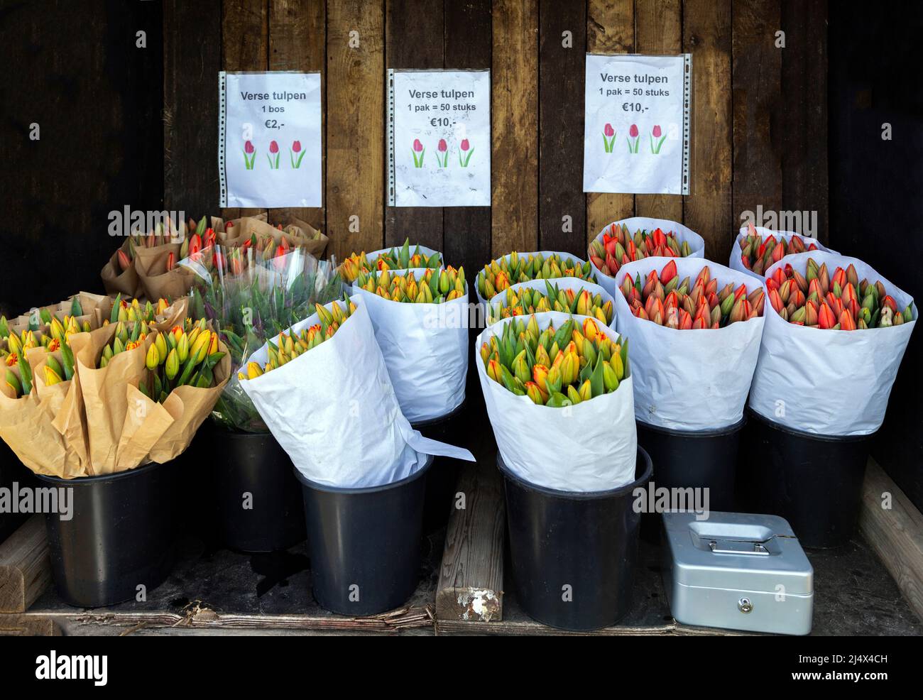Flower stall selling bunches of fresh tulips in tulip season, Noordwijkerhout, South Holland, The Netherlands. Stock Photo