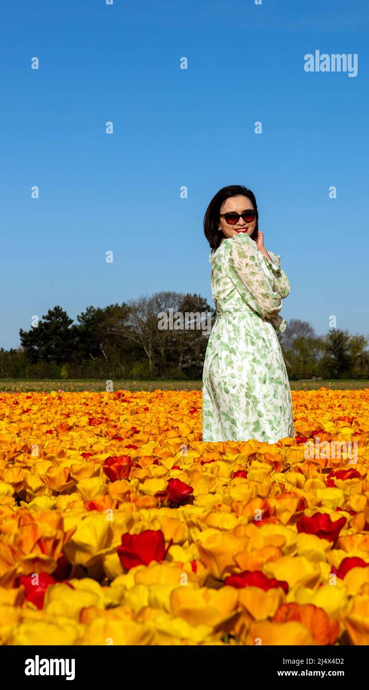 Pretty Japanese tourist posing amidst flowering tulips in rural landscape, Noordwijkerhout, South Holland, The Netherlands. Stock Photo