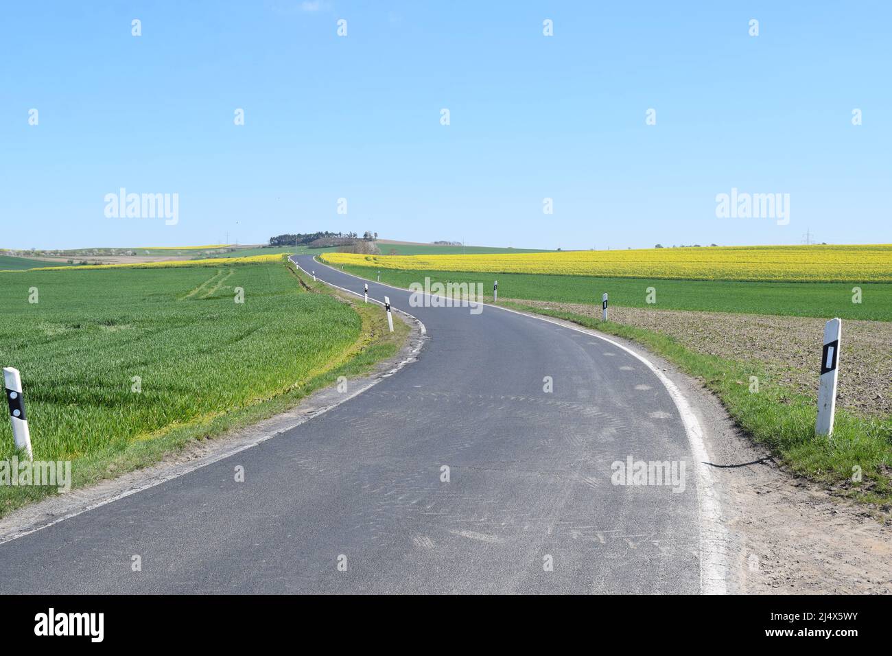 smll country road through Eifel landscape in spring Stock Photo