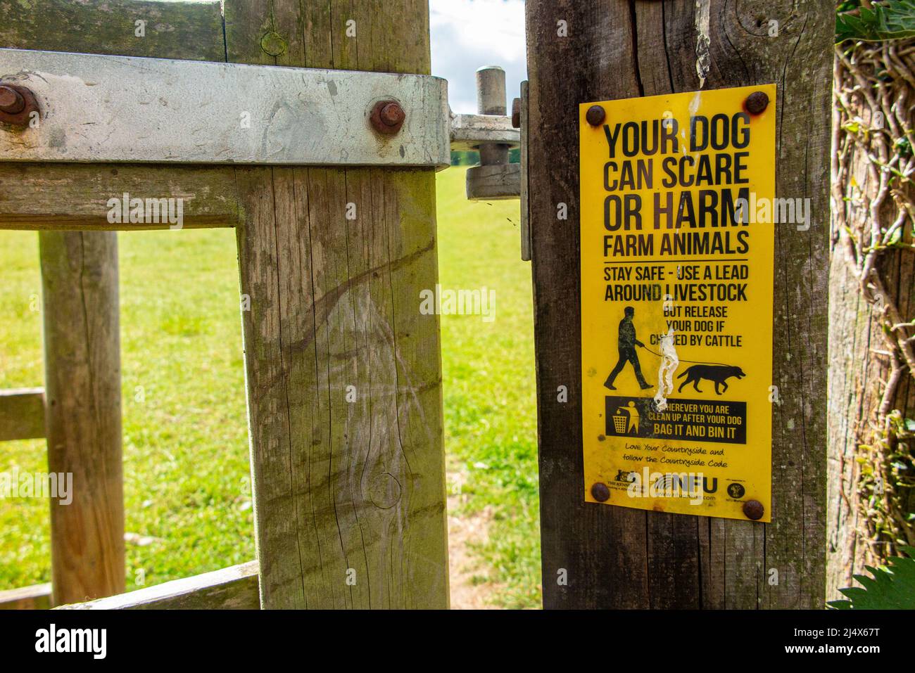 A sign in Oxfordhire warning that your dog can scare or harm farm animals Stock Photo