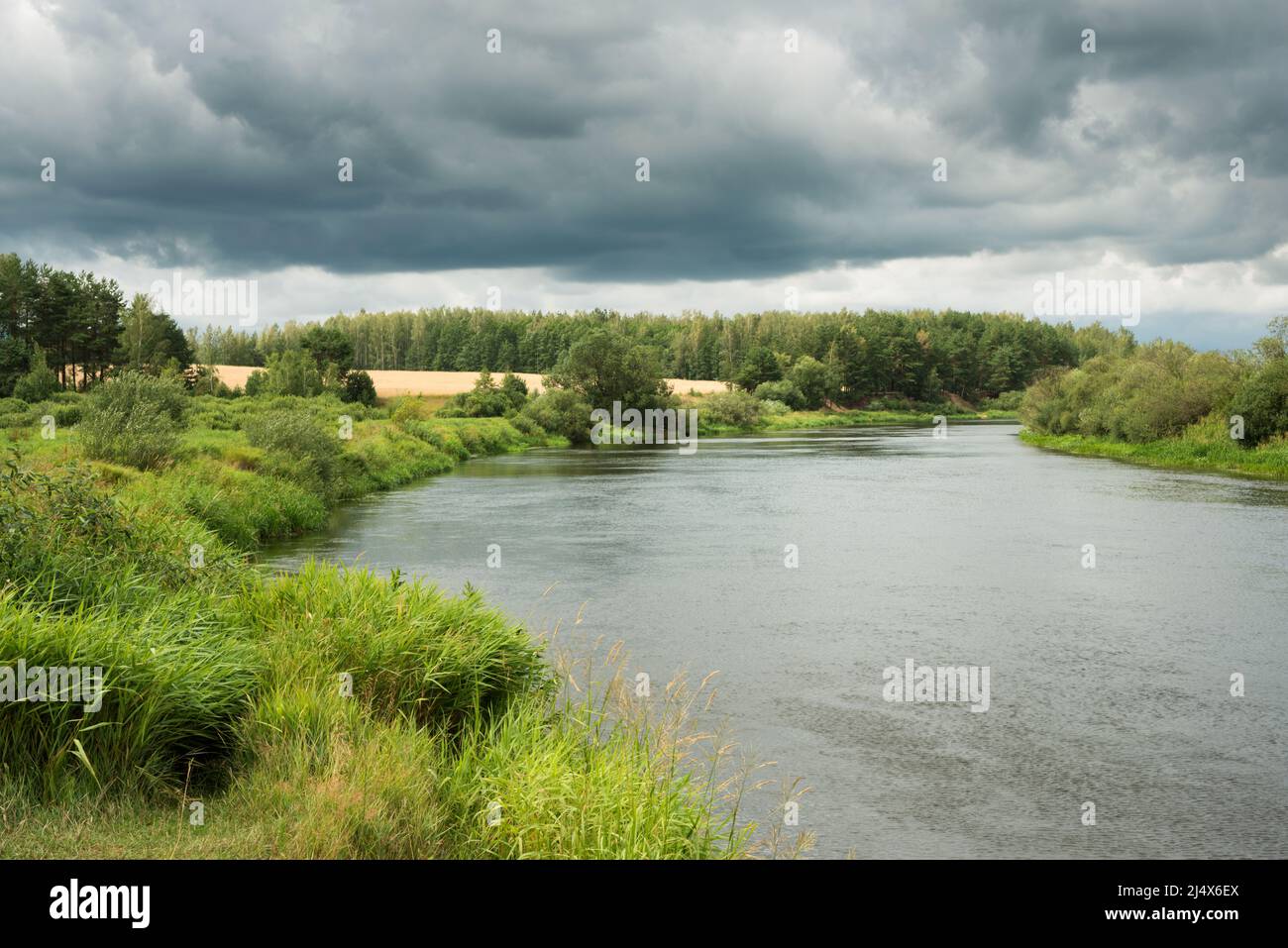 Banks of the berezina river hi-res stock photography and images - Alamy
