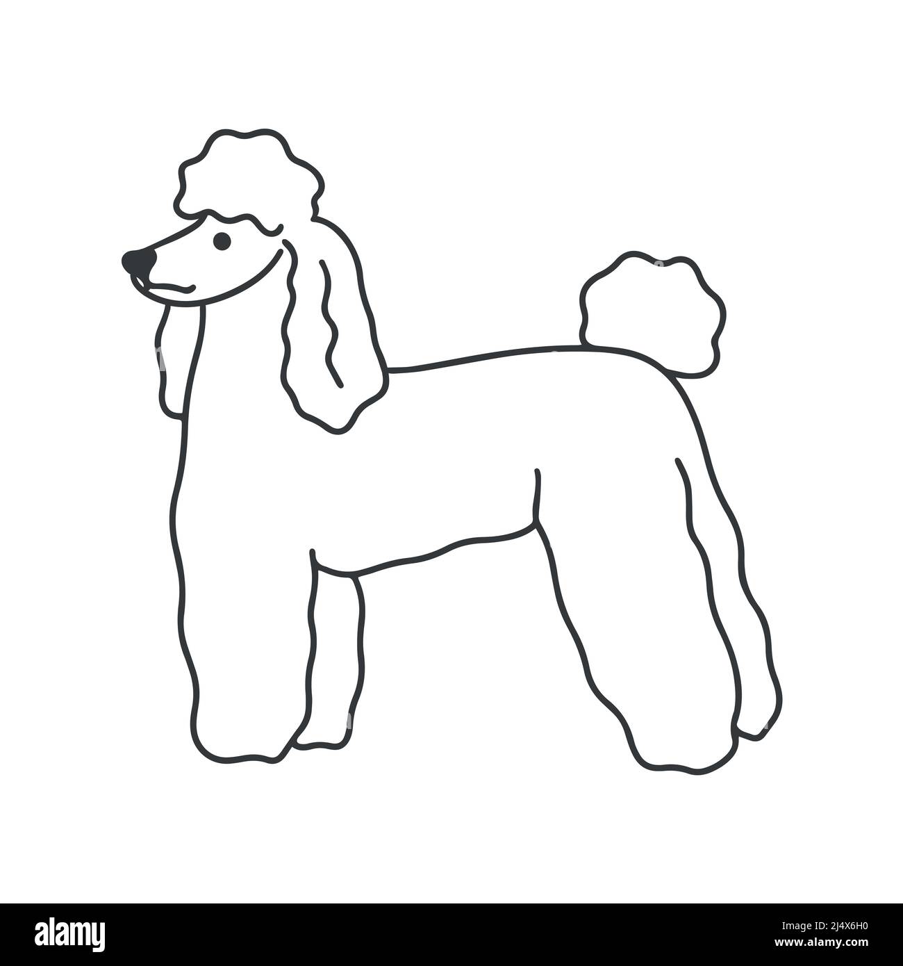 Poodle dog stands doodle style vector illustration Stock Vector Image ...
