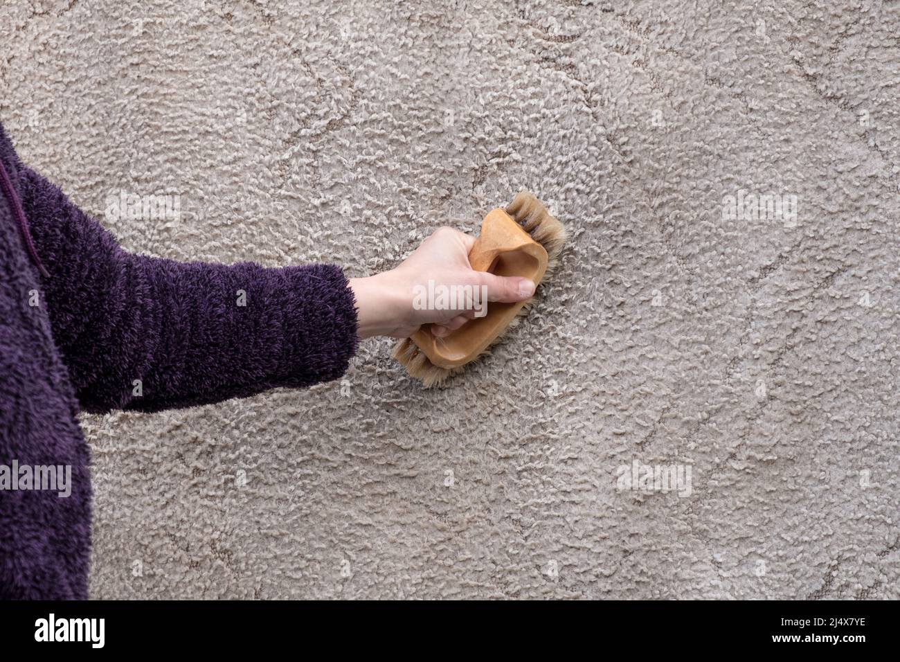 brushing a lightcolored carpet with detergent Stock Photo Alamy