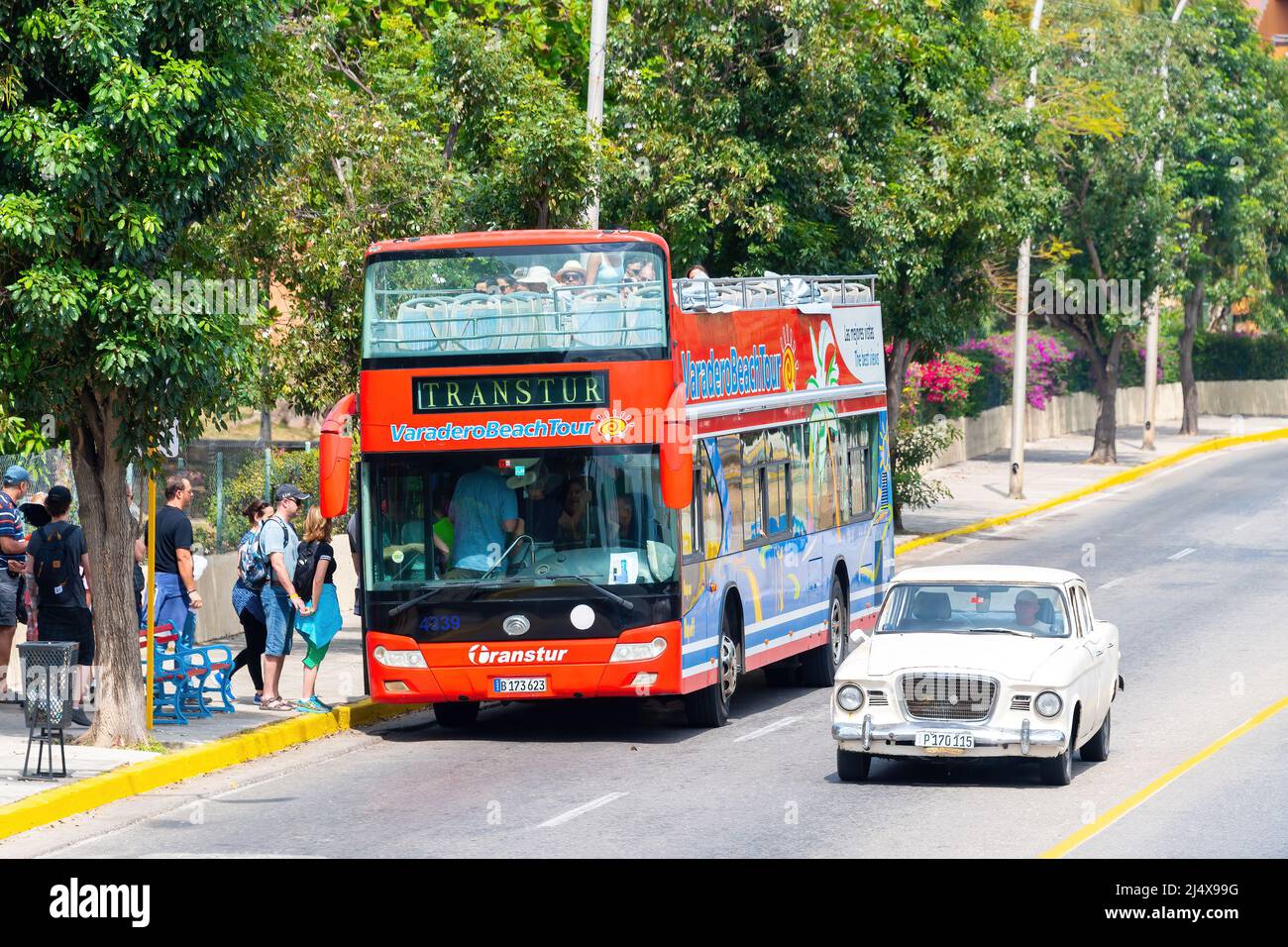An old obsolete American car drives by a tourist double-decker bus. The city of Varadero is one of the most visited travel destinations in the Caribbe Stock Photo