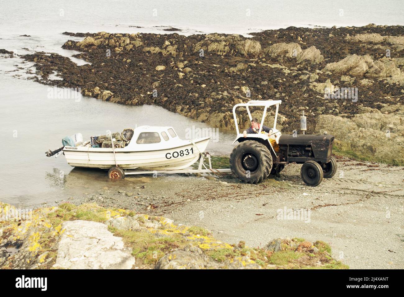 Welsh fisherman launches his boat into the tiny cove at Porth Conlon, on the beautiful Llyn Peninsula, Gwyneth, North Wales Stock Photo
