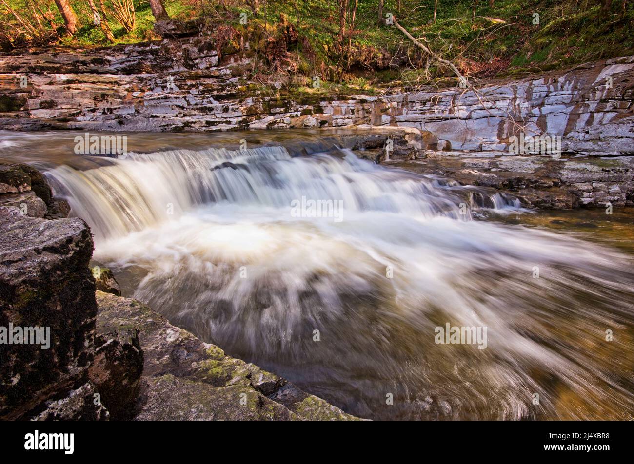 The small waterfall, in the lower section of Stainforth Force, Yorkshire Dales Stock Photo