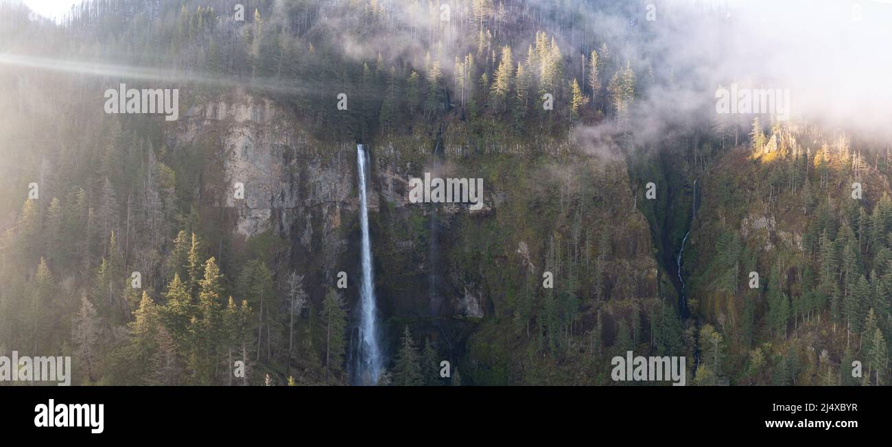 A scenic waterfall plunges over 500 feet from a cliff into the Columbia River Gorge, Oregon. Forests and rivers predominate in this PNW region. Stock Photo