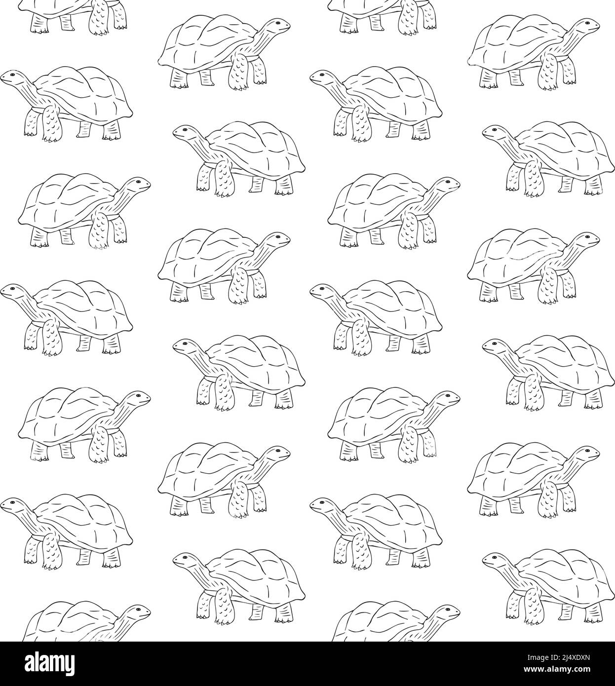 Vector seamless pattern of hand drawn turtle Stock Vector Image & Art ...