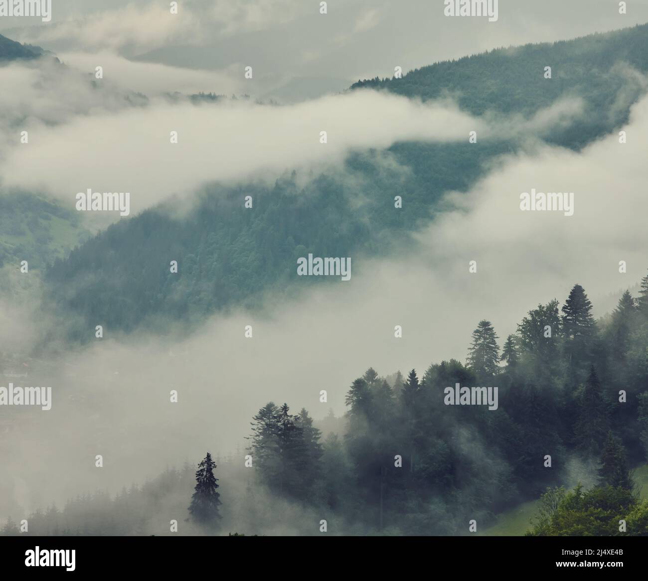 Majestic view on beautiful fog mountains in mist landscape. Dramatic ...