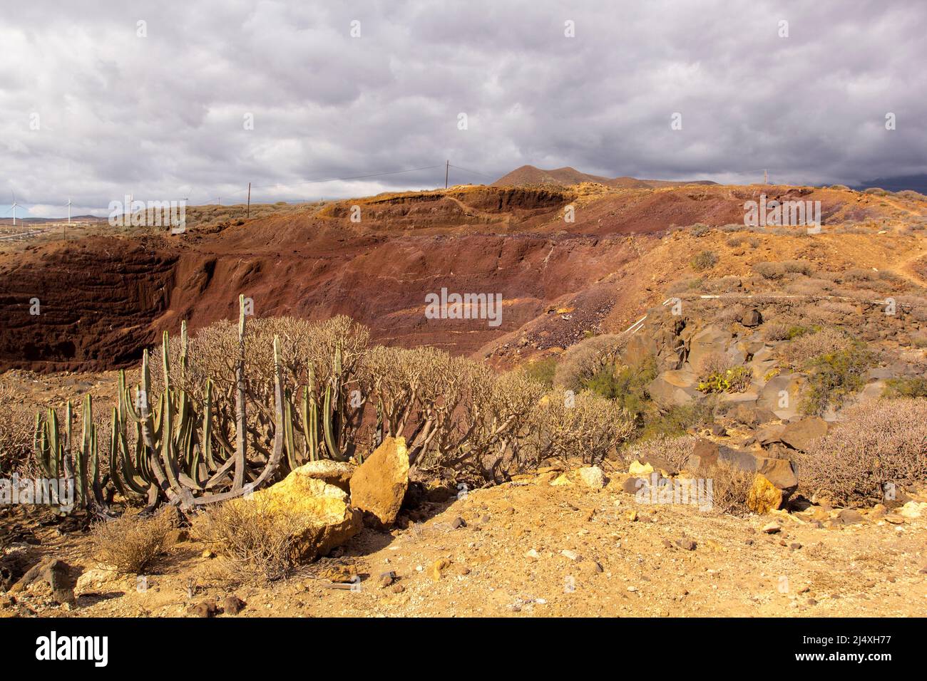 A desert landscape in Tenerife, Canary Islands,Spain. Stock Photo