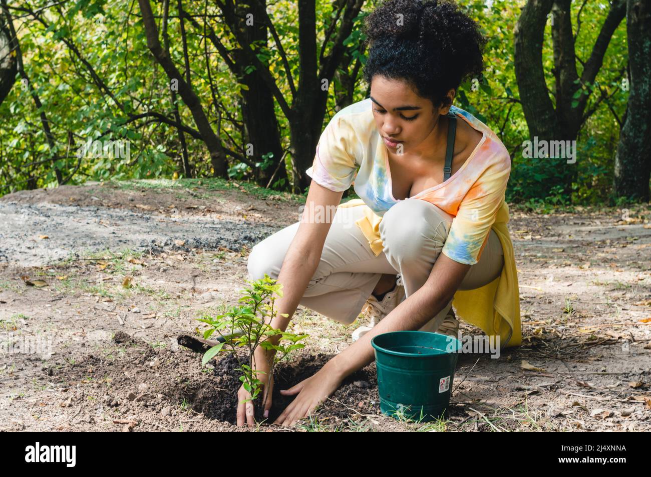 afro brunette female volunteer working for nature conservation transplanting day trees in a public park. Stock Photo