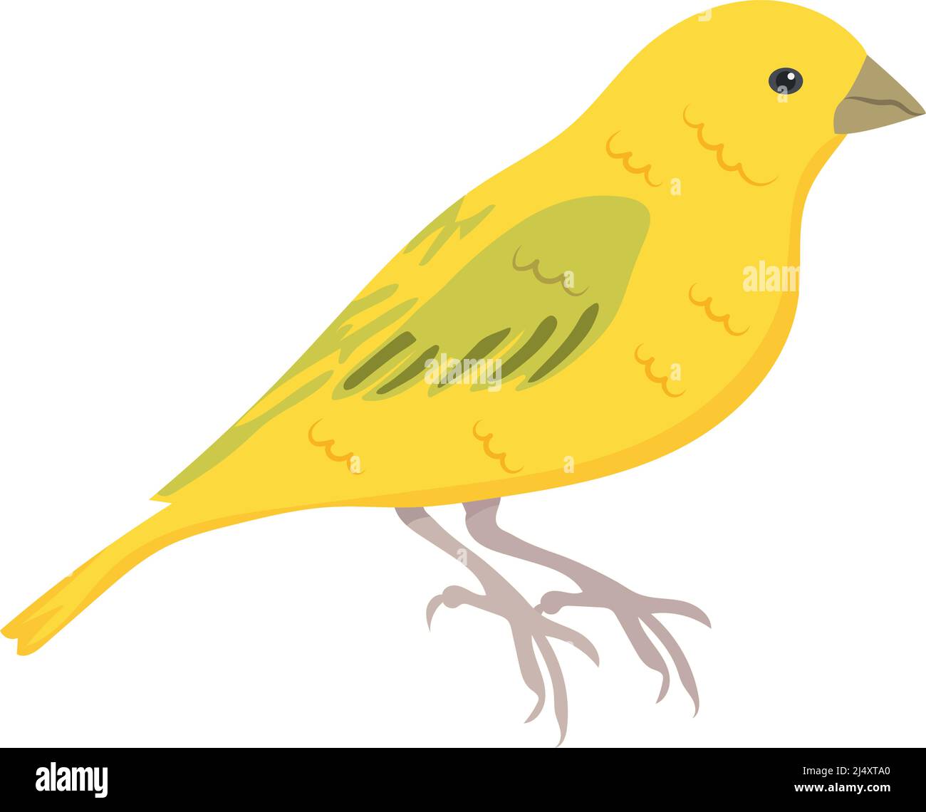 Goldfinch drawing Stock Vector Images Alamy