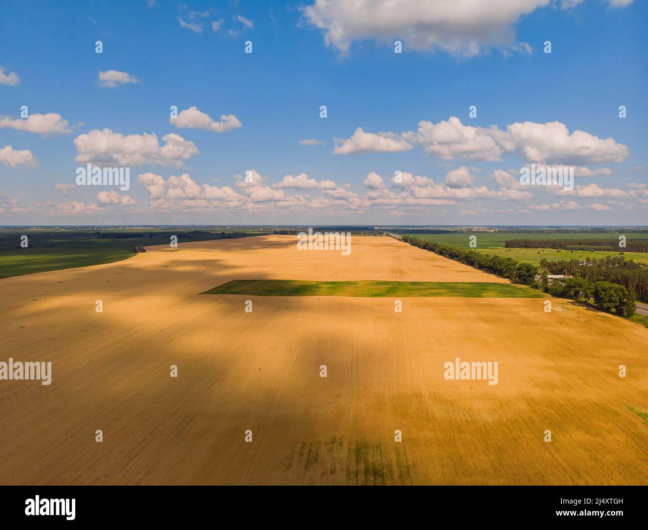 Aerial flight over ripe wheat hi-res stock photography and images - Alamy