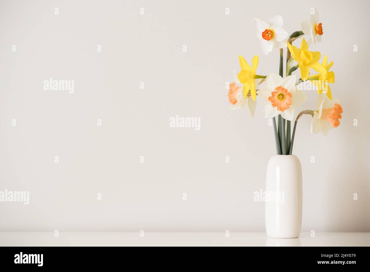 Mixed daffodils in a white simple bud vase Stock Photo - Alamy