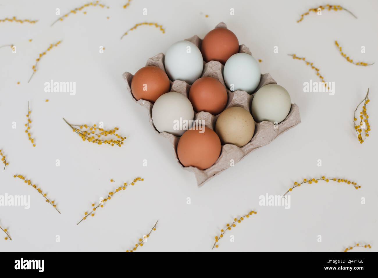 Beautiful Easter composition with eggs, mimosa flowers on white background Stock Photo