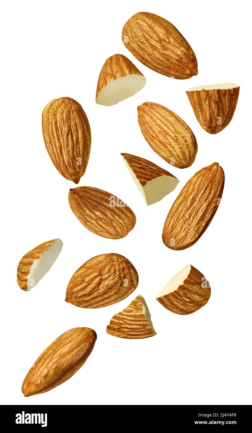 almond nut food healthy organic natural ingredient snack isolated seed
