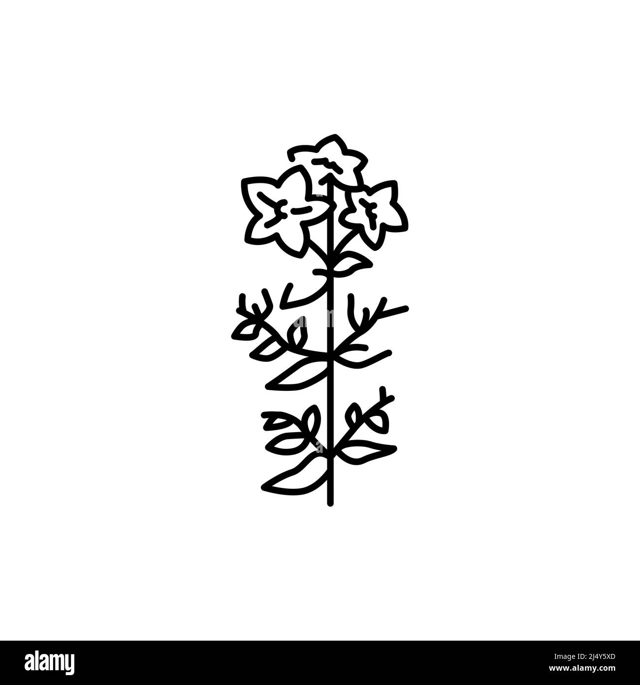 John page Stock Vector Images - Alamy