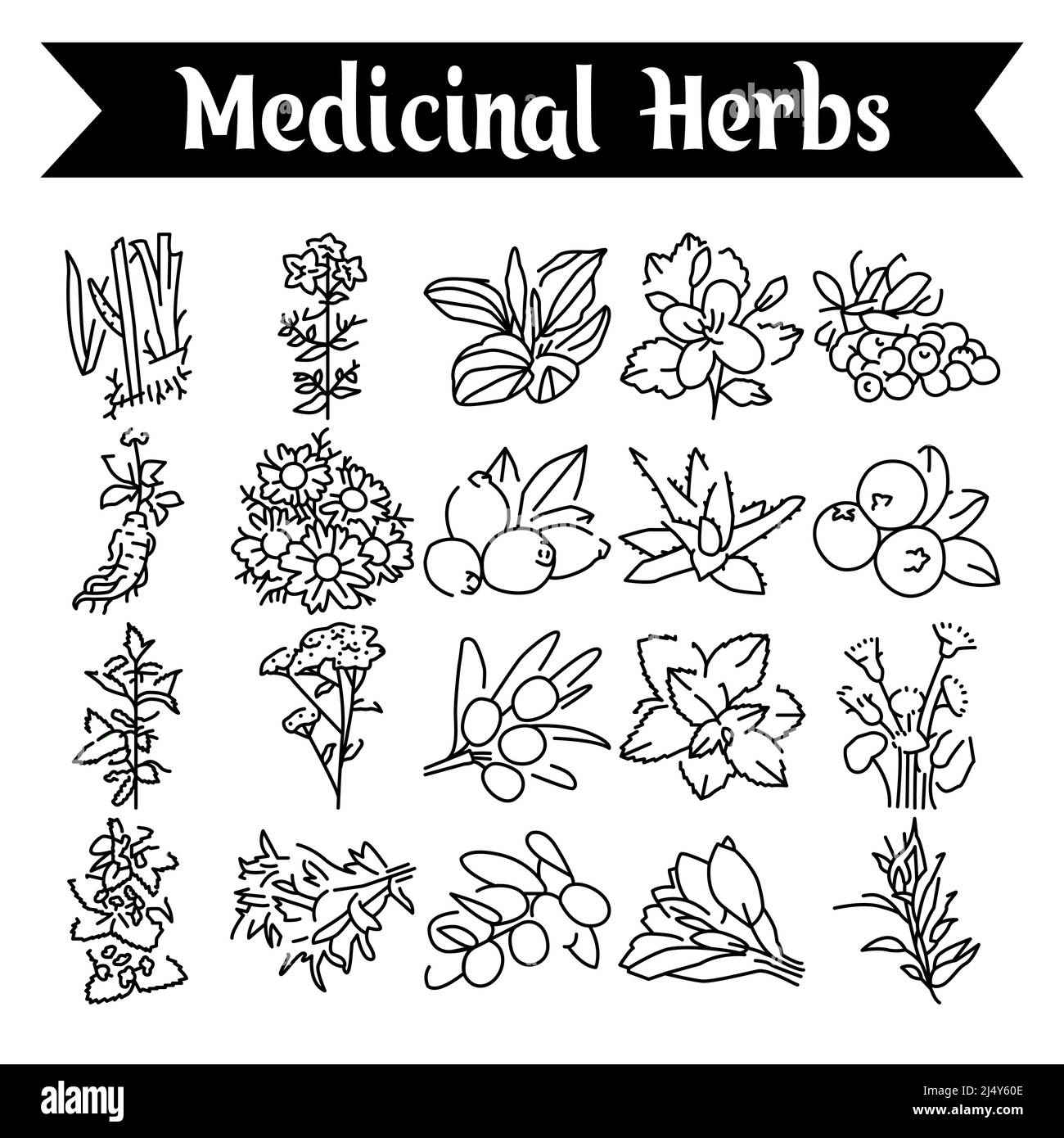 Medicinal herbs and plants line icons set. Isolated vector element ...