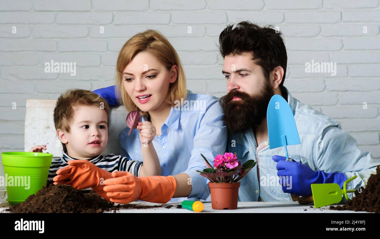 Gardening. Mom, dad and son planting flower together. Family to plant