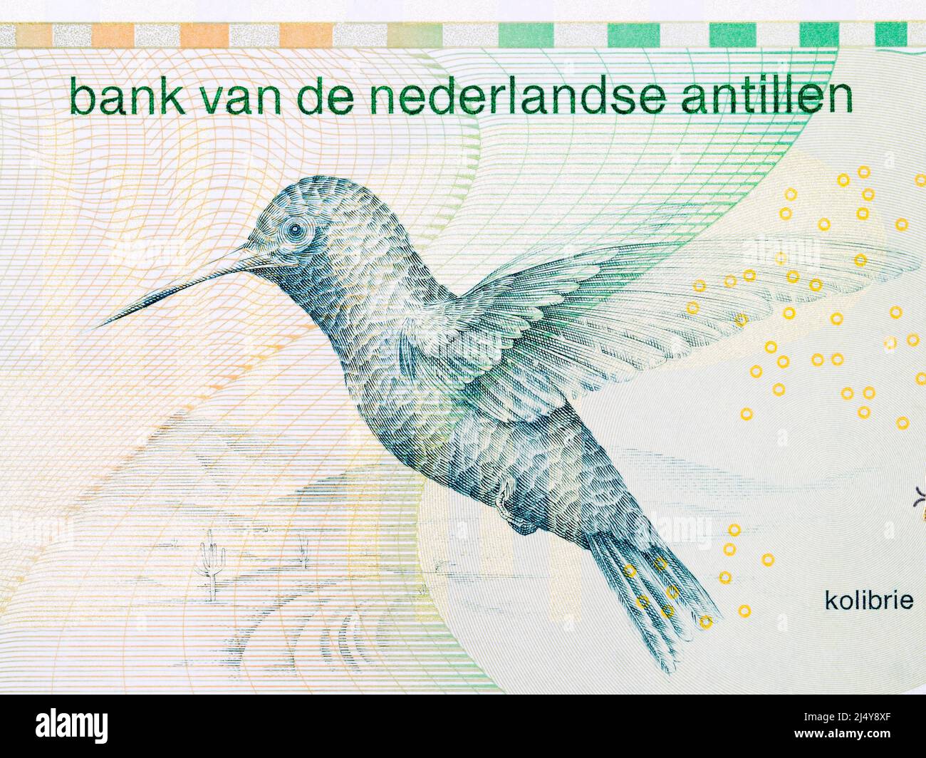 Kolibrie from Netherlands Antillean money - guilder Stock Photo