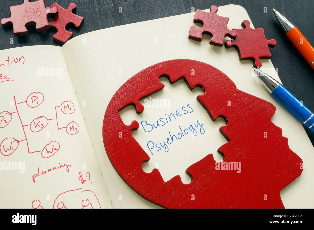 Business psychology sign and human head with puzzles. Stock Photo