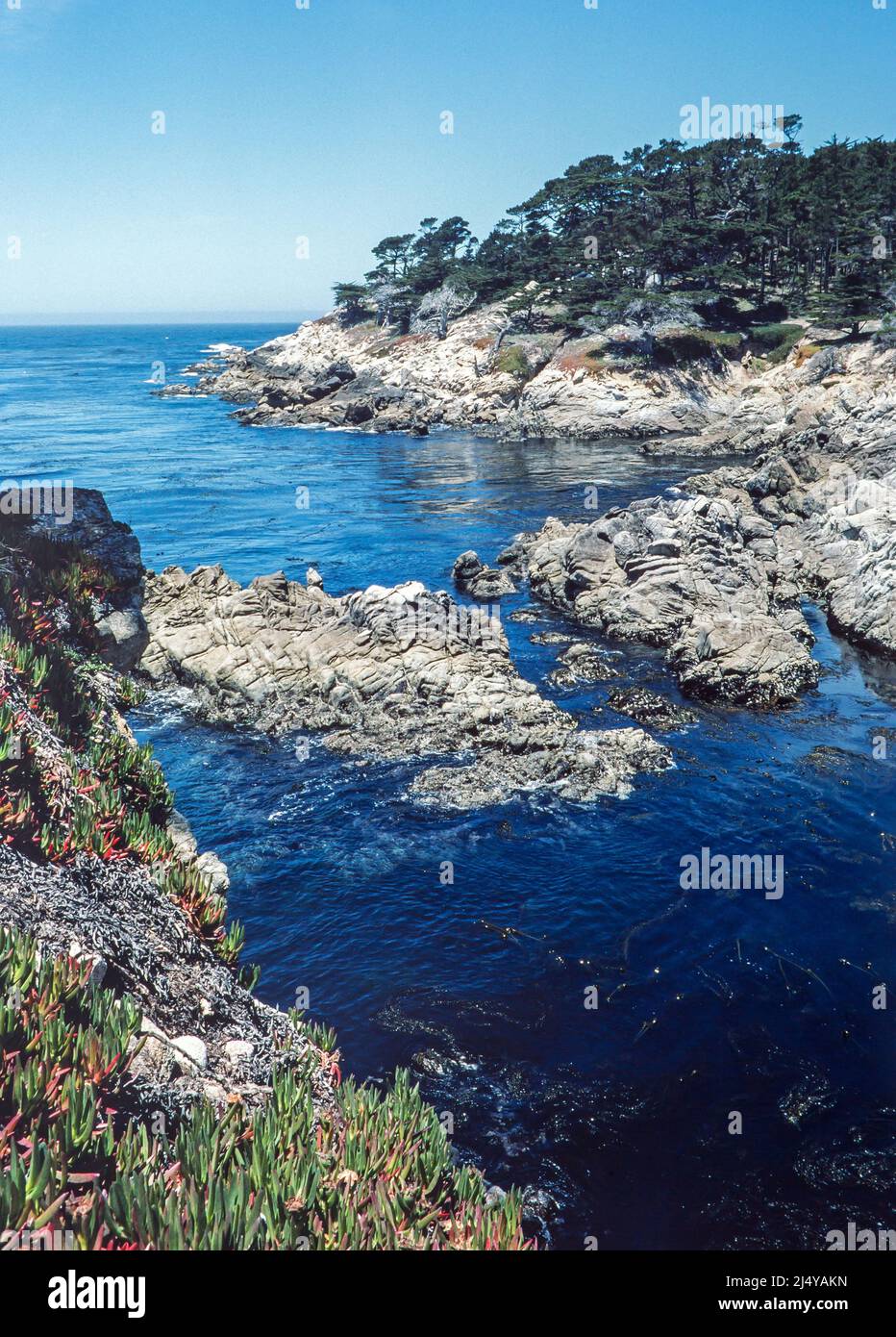 A view of the Pacific Ocean along the 17-Mile Drive on the Monterey Peninsula in California. Stock Photo