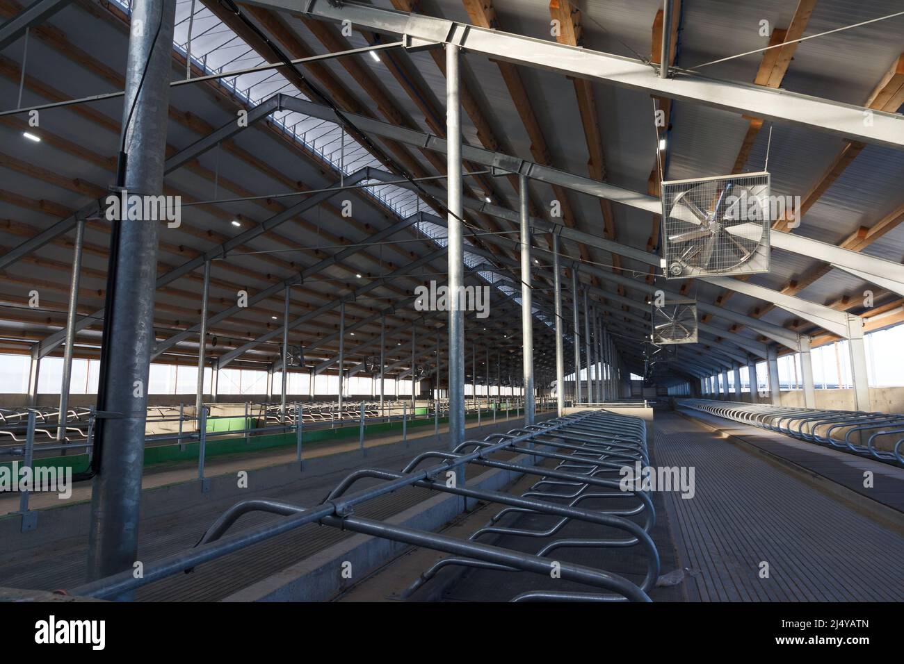 Construction of a large barn on the farm. Modern barn for dairy cows