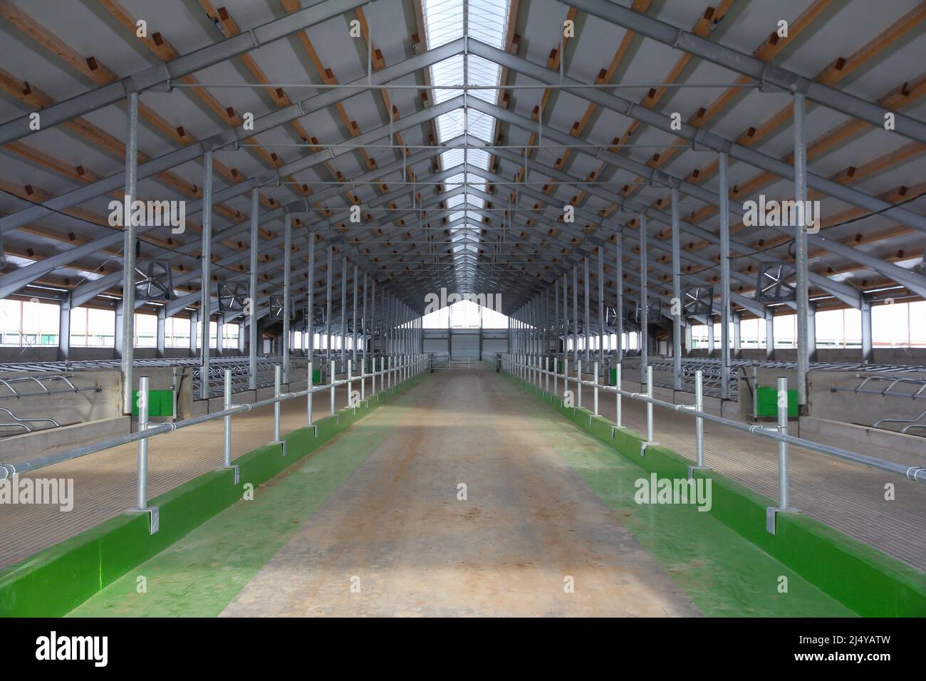 Construction of a large barn on the farm. Modern barn for dairy cows