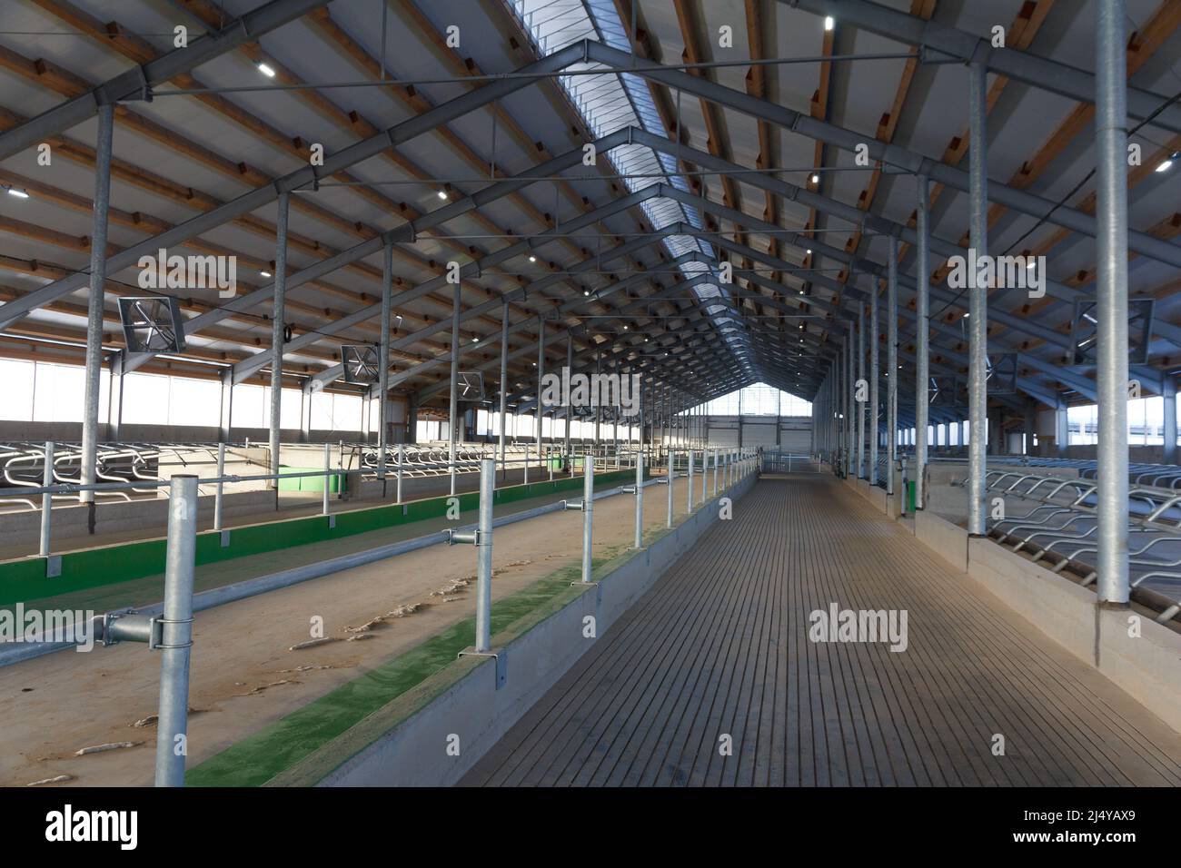 Construction of a large barn on the farm. Modern barn for dairy cows