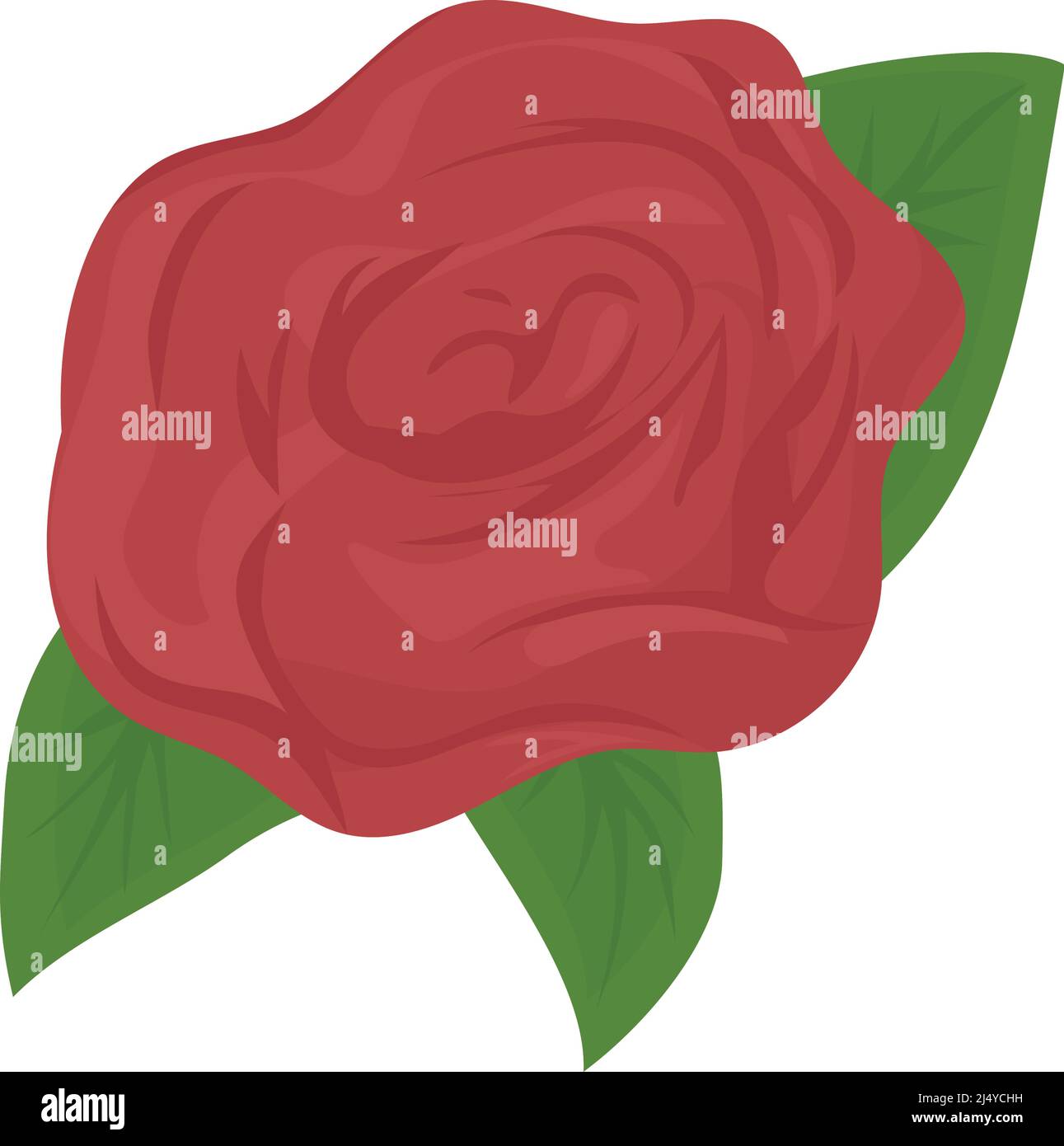 red rose design Stock Vector Image & Art - Alamy