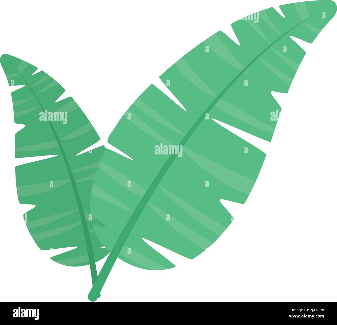 tropical leaves icon Stock Vector Image & Art - Alamy