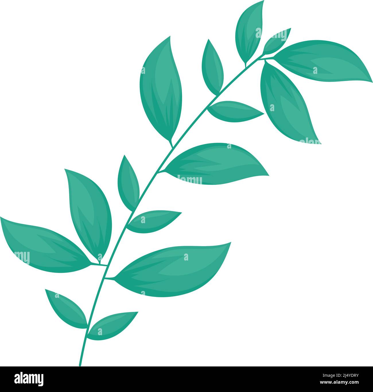 branch with leaves Stock Vector Image & Art - Alamy